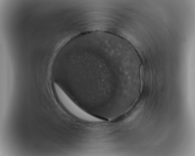 X0000092060673200709262028