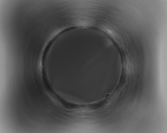 X0000092060674200709262028