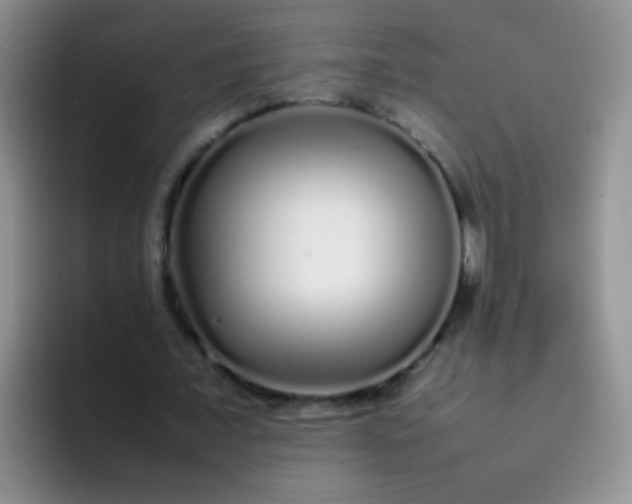 X0000092060675200709262028