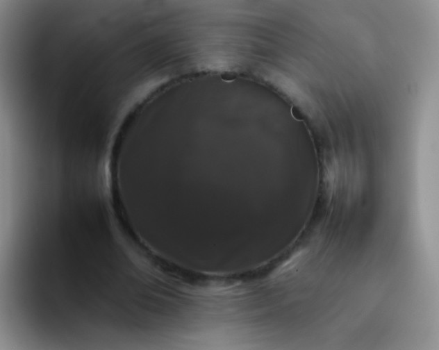 X0000092060678200709262028