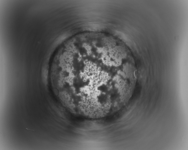 X0000092060679200709262028