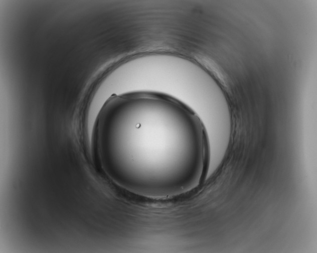 X0000092060680200709262028