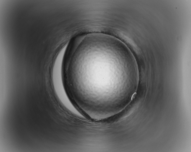 X0000092060681200709262028