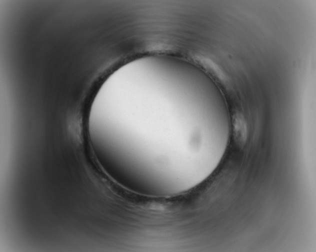 X0000092060684200709262028