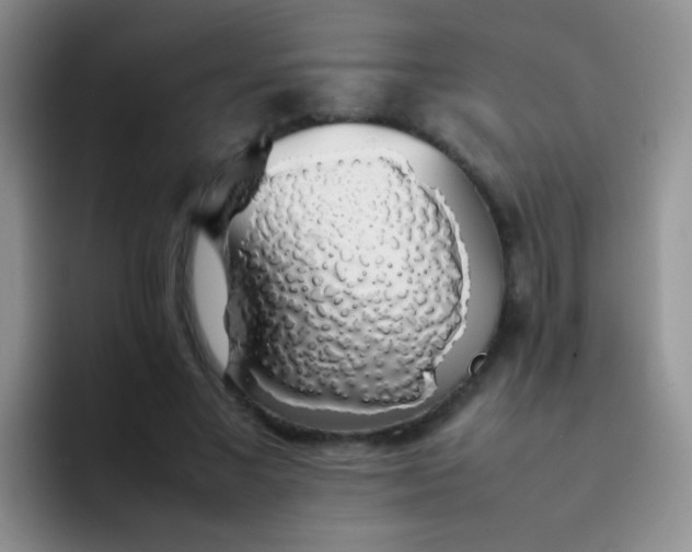 X0000092060685200709262028