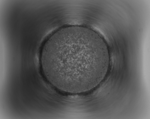 X0000092060688200709262028