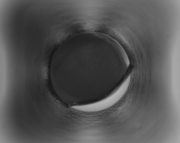 X0000092060689200709262028