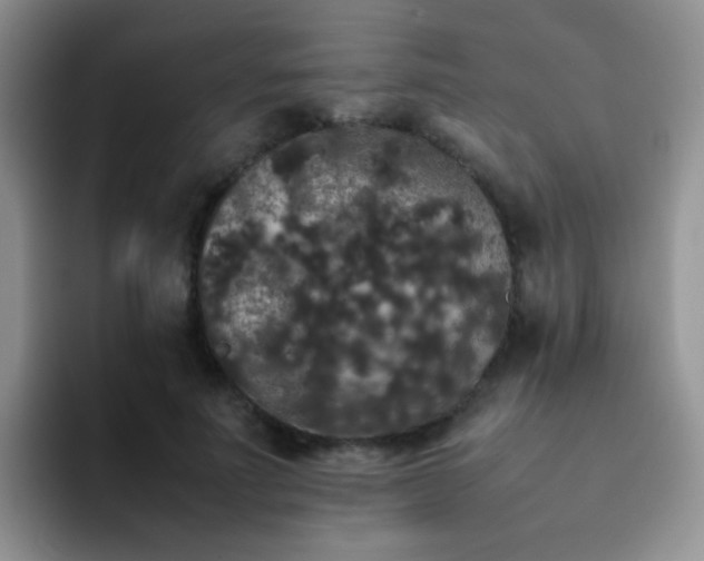 X0000092060691200709262028