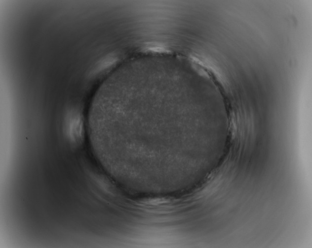 X0000092060692200709262028