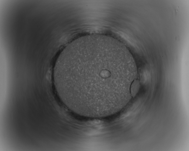 X0000092060695200709262028