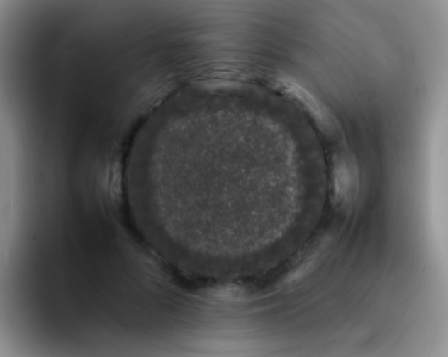 X0000092060696200709262028