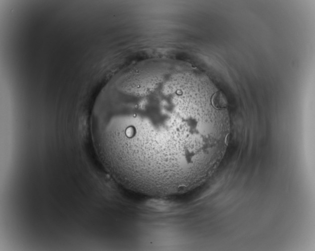 X0000092060699200709262028