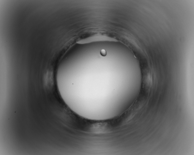 X0000092060700200709262028