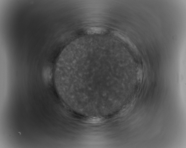 X0000092060701200709262028