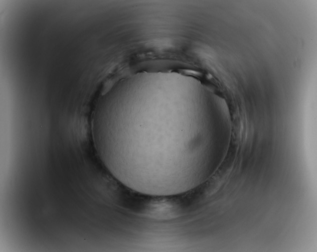 X0000092060704200709262028