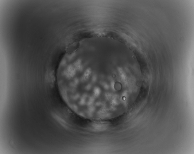 X0000092060707200709262028