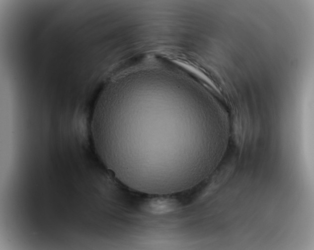 X0000092060708200709262028