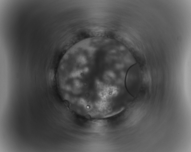 X0000092060711200709262028