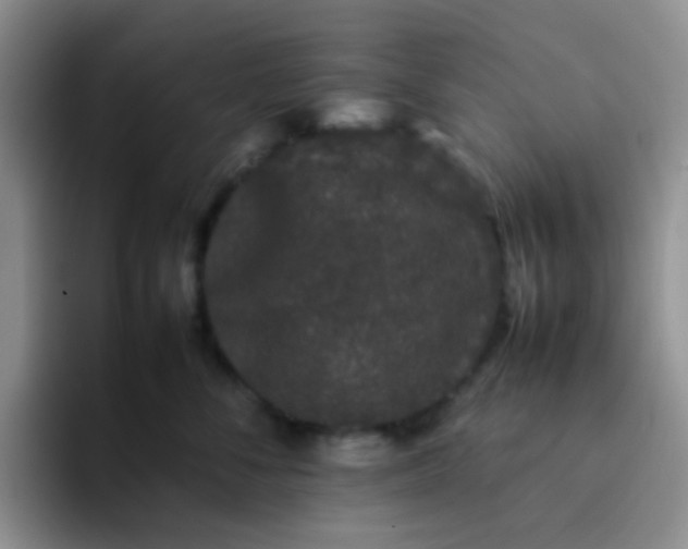 X0000092060716200709262028