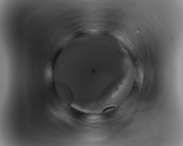 X0000092060718200709262028