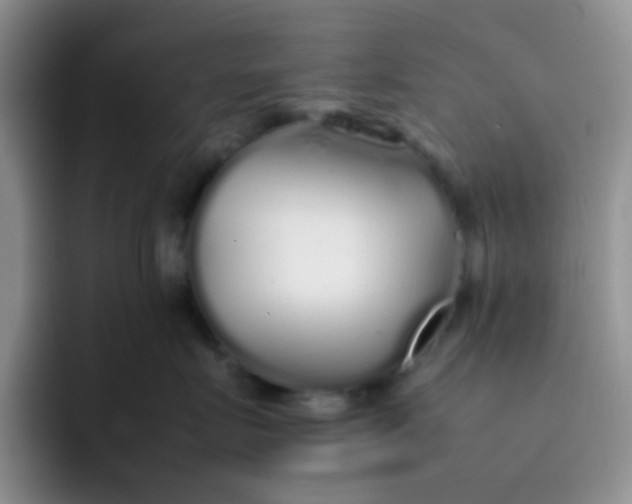 X0000092060719200709262028