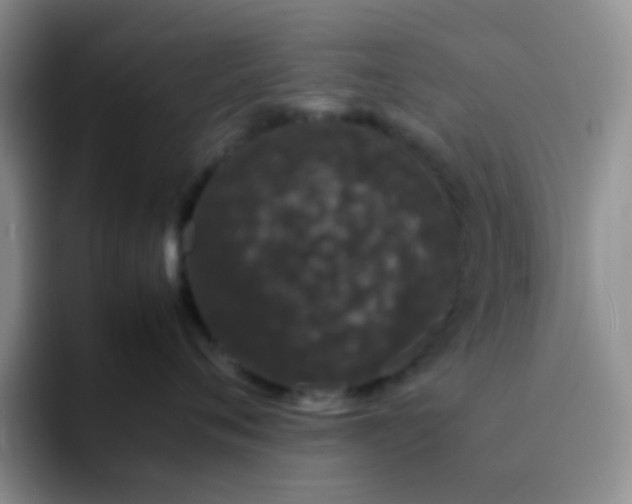 X0000092060720200709262028