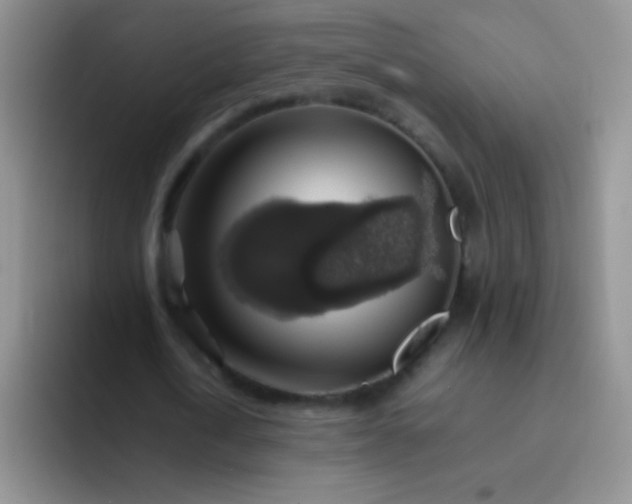 X0000092060722200709262027