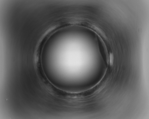 X0000092060723200709262027