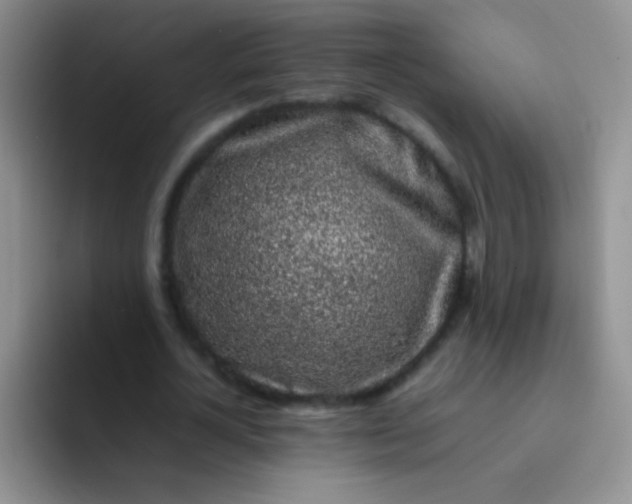 X0000092060724200709262027