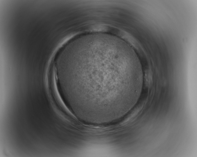 X0000092060726200709262027