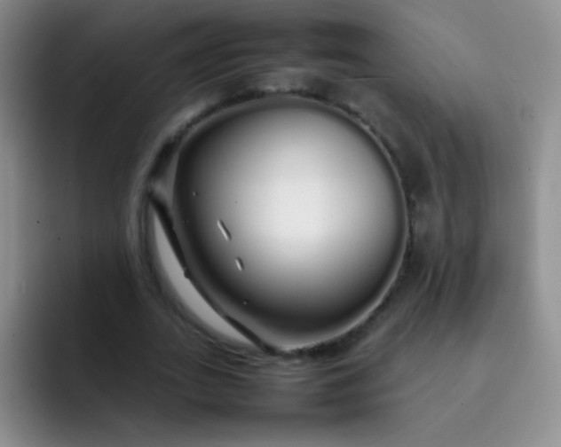 X0000092060727200709262027