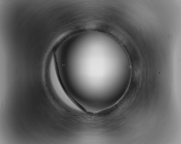 X0000092060728200709262027