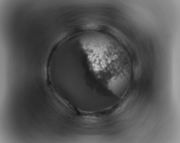 X0000092060729200709262027