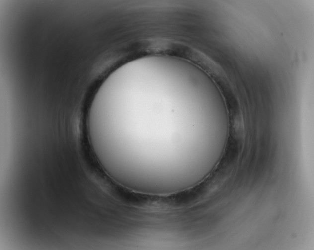 X0000092060732200709262027