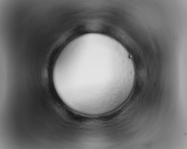 X0000092060734200709262027