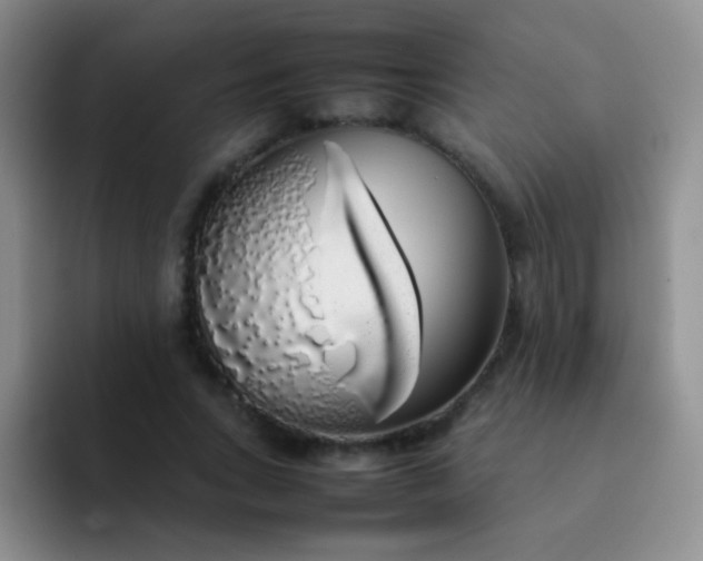 X0000092060735200709262027