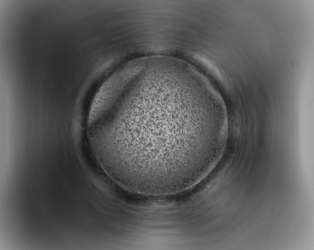 X0000092060736200709262027