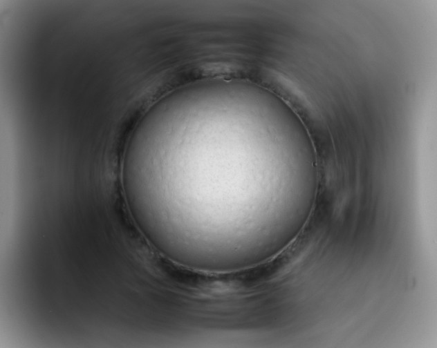 X0000092060737200709262027