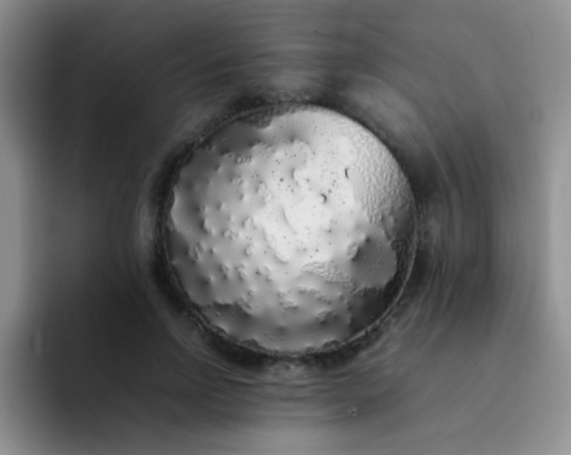 X0000092060742200709262027