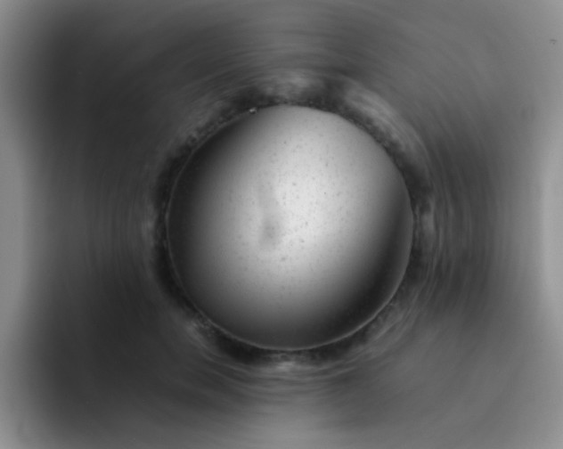 X0000092060750200709262027