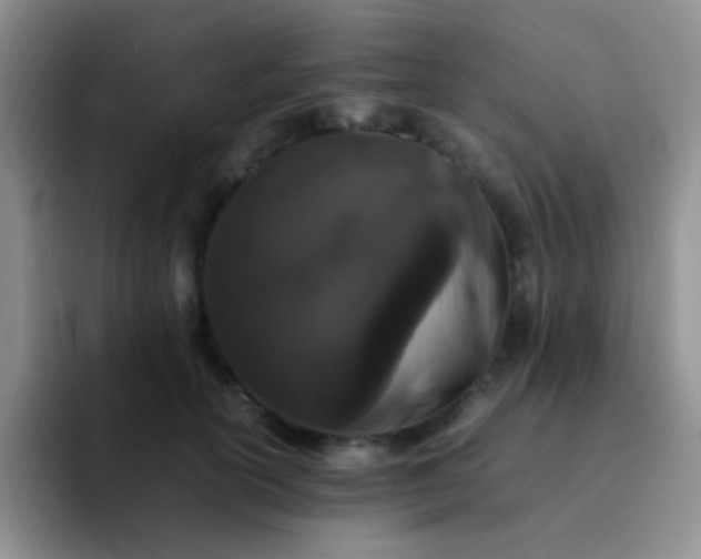 X0000092060754200709262027