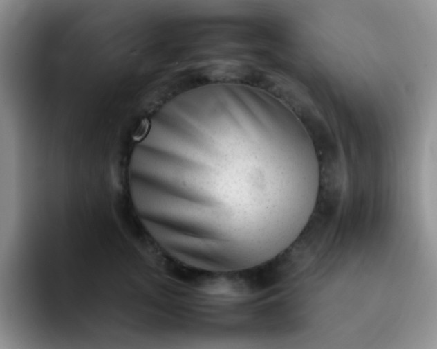 X0000092060755200709262027