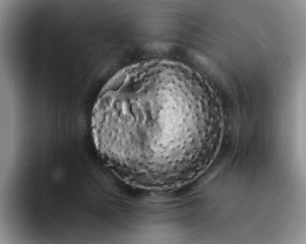 X0000092060758200709262027