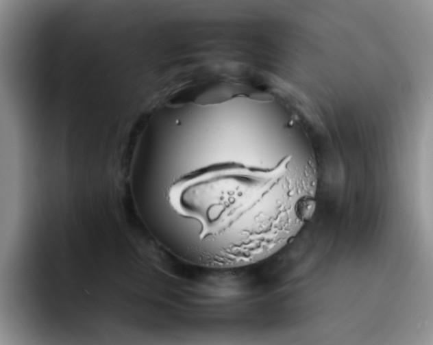 X0000092060759200709262027