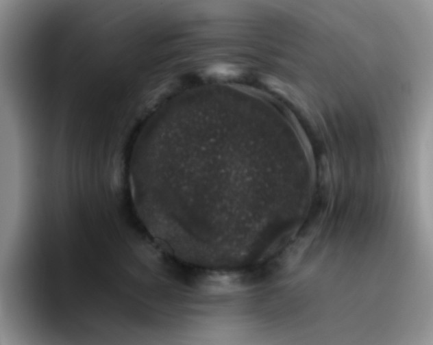 X0000092060760200709262027