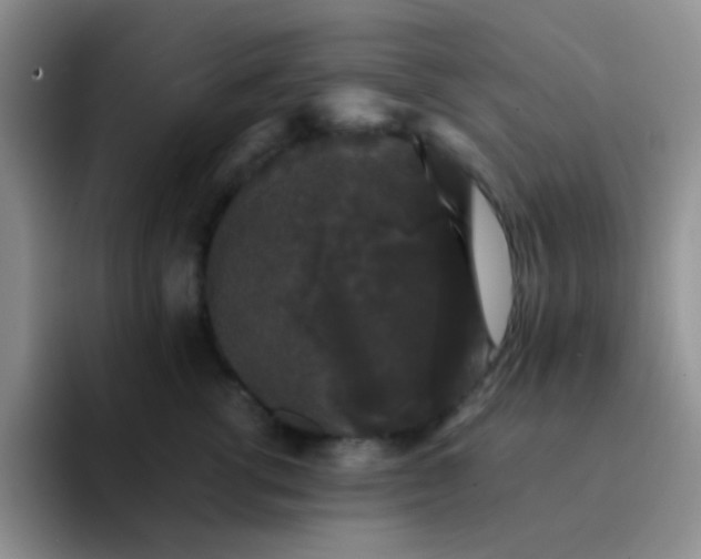 X0000092060762200709262027