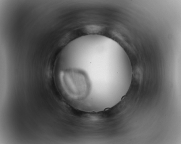 X0000092060763200709262028