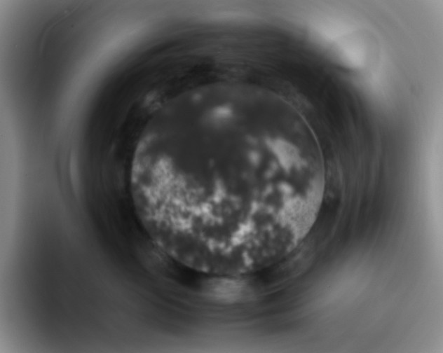 X0000092060765200709262028