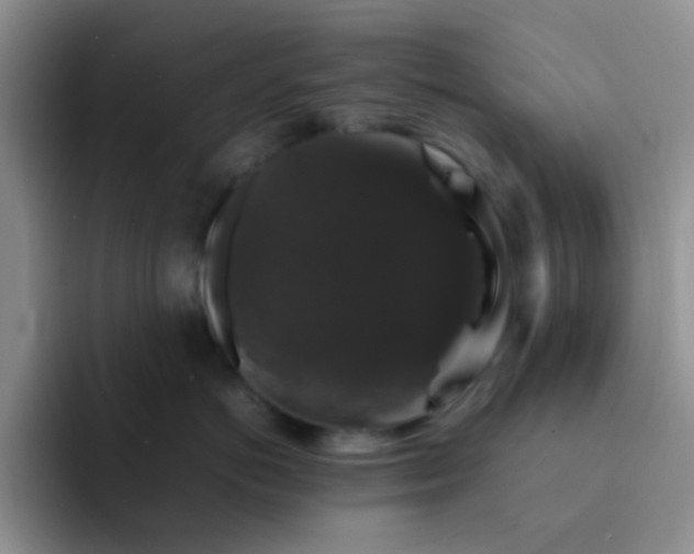 X0000092060766200709262028