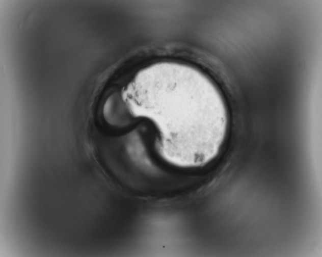 X0000092060769200709262027